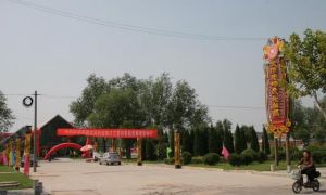 大河寵物文化公園 大河寵物文化公園