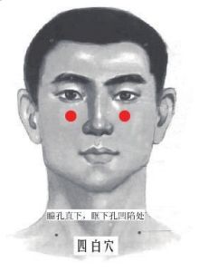 四白穴