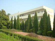 長豐縣雙墩初級中學 長豐縣雙墩初級中學