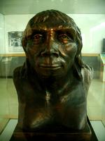 周口店北京猿人遺址