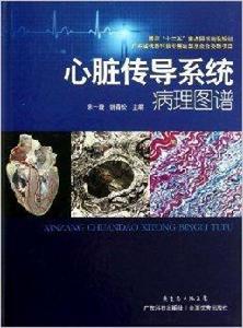 心臟傳導系統病理圖譜 心臟傳導系統病理圖譜
