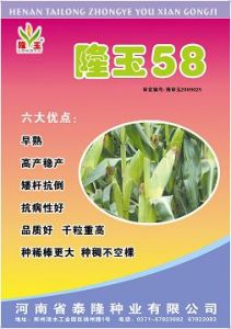 隆玉58