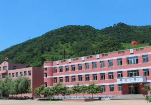 新賓縣大四平第一中學 新賓縣大四平第一中學