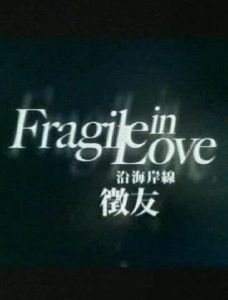 《沿海岸線徵友》