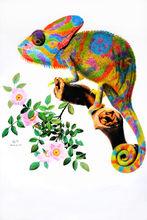 OY彩鉛畫：變色龍