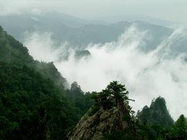 伏牛山生態旅遊區 伏牛山生態旅遊區