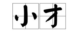 小才