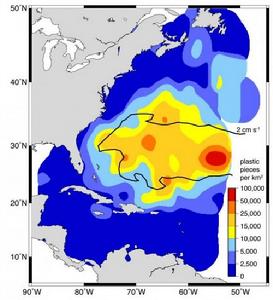 北大西洋海域海洋垃圾分布