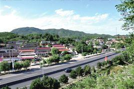 大石嶺村[河南省洛陽市宜陽縣董王莊鄉下轄村]