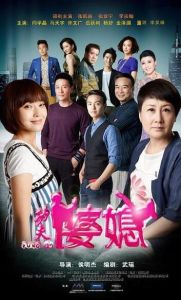 功夫婆媳[侯明傑執導電視劇]