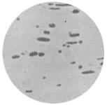 易切削鋼 易切削鋼