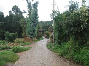 百歲坊自然村 百歲坊自然村