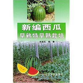 西瓜早熟特早熟栽培 西瓜早熟特早熟栽培