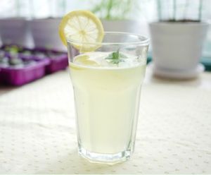 薄荷檸檬冰霜 薄荷檸檬冰霜