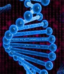 後基因組計畫 後基因組計畫
