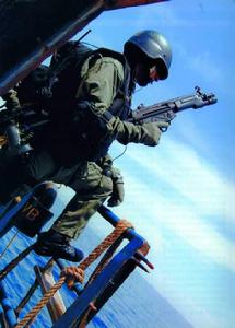 土耳其海軍特勤隊 土耳其海軍特勤隊