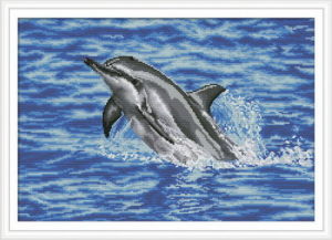 十字紋海豚