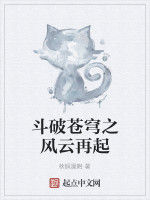 斗破蒼穹之風雲再起 斗破蒼穹之風雲再起