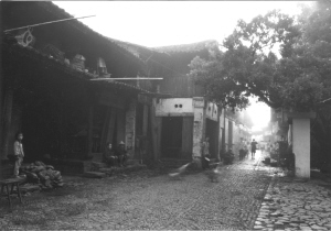 楓林鎮[永嘉縣]