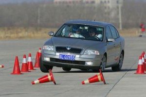 麋鹿測試 麋鹿測試