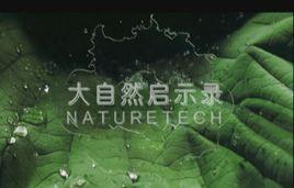 大自然啟示錄 大自然啟示錄