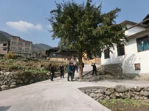 王家屯村 王家屯村