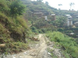 神舟新村 神舟新村