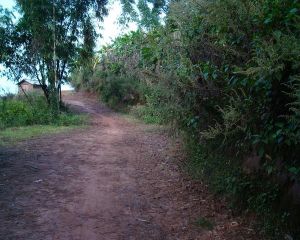 菜地田自然村 菜地田自然村