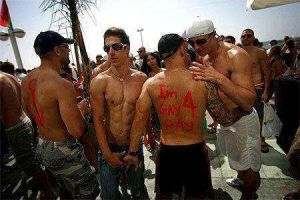 同志雷達 同志雷達