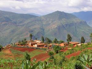龍馬村[萊蕪市萊城區口鎮龍馬村]
