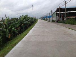 混凝土塊路面 混凝土塊路面