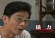 一閃一閃亮晶晶[2010年台灣大愛八點檔]