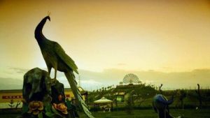 甘肅中華孔雀苑 甘肅中華孔雀苑