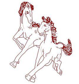 國馬與駿馬 國馬與駿馬