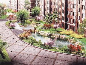 楓闌香谷 楓闌香谷