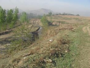 寨村北嶺遺址 寨村北嶺遺址