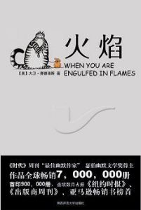 《火焰》[小說]