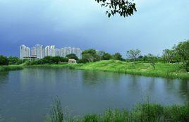 泗洪縣玉珠湖 泗洪縣玉珠湖