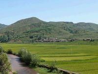 羅高山村 羅高山村