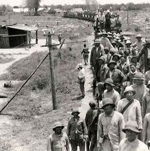 三國同盟戰爭 三國同盟戰爭