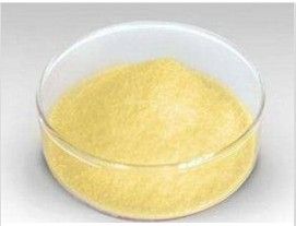 功能性低聚糖 功能性低聚糖