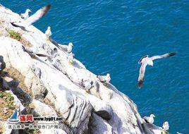 陸生海洋污染 陸生海洋污染