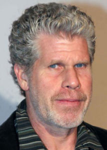 羅恩·珀爾曼 羅恩·珀爾曼