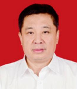 何軍[江西萍鄉安源區副區長、公安局局長]