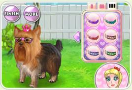 可愛長毛狗 可愛長毛狗