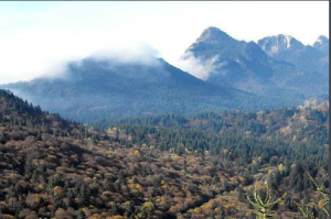 蓮花山自然保護區