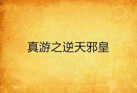 真游之逆天邪皇 真游之逆天邪皇