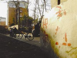 上海奇石盆景博物館 上海奇石盆景博物館