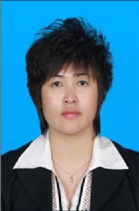 張一帆[內蒙古和林格爾縣副縣長]