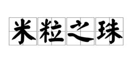 米粒之珠 米粒之珠